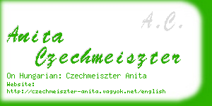 anita czechmeiszter business card